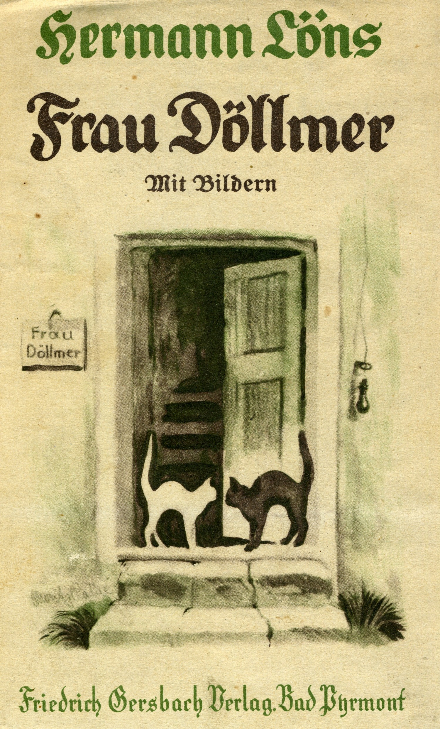 Frau Döllmer – Schutzumschlag 2 (1)